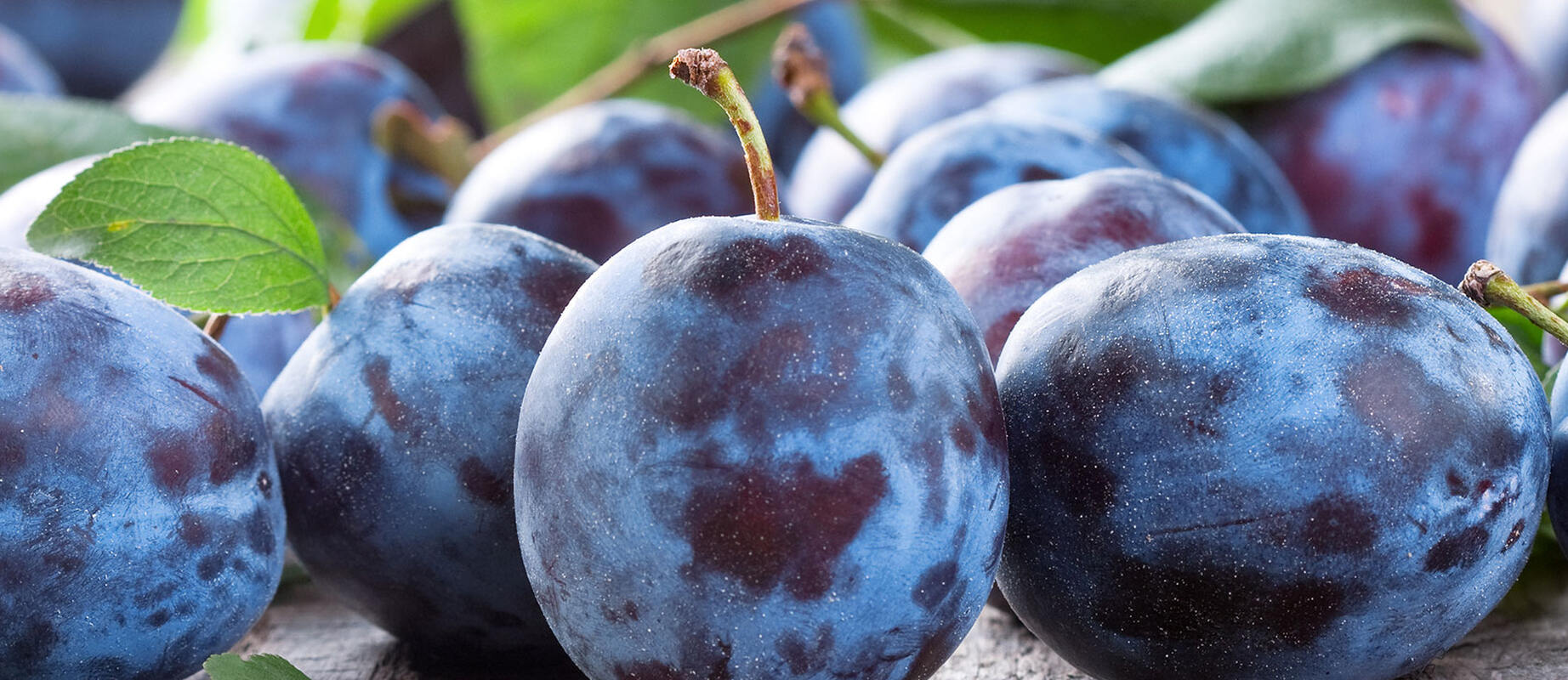 Precision and expertise in modern testing technology