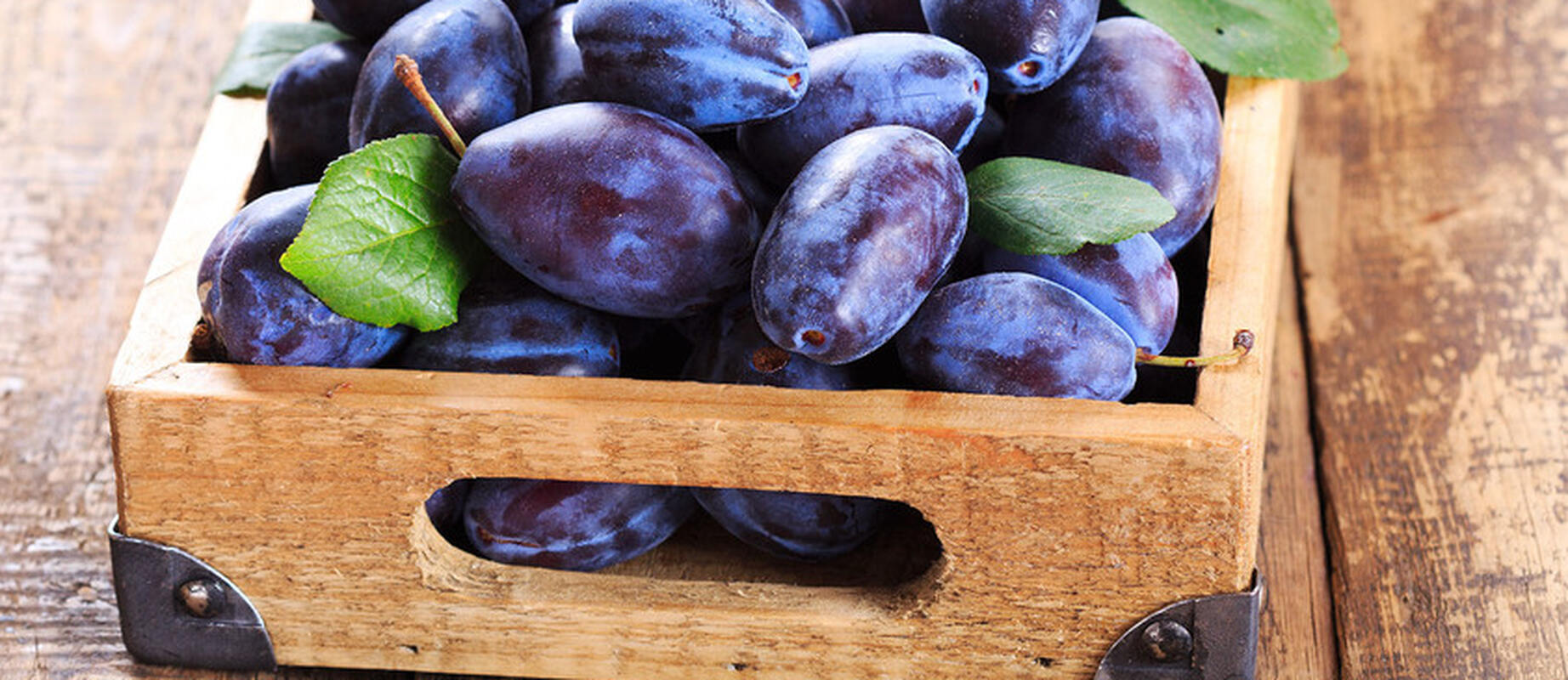 AIP calibration laboratory expands DAkkS accreditation