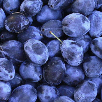 RTCU (Real Time Control Unit)